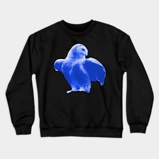 Owl Blue Crewneck Sweatshirt